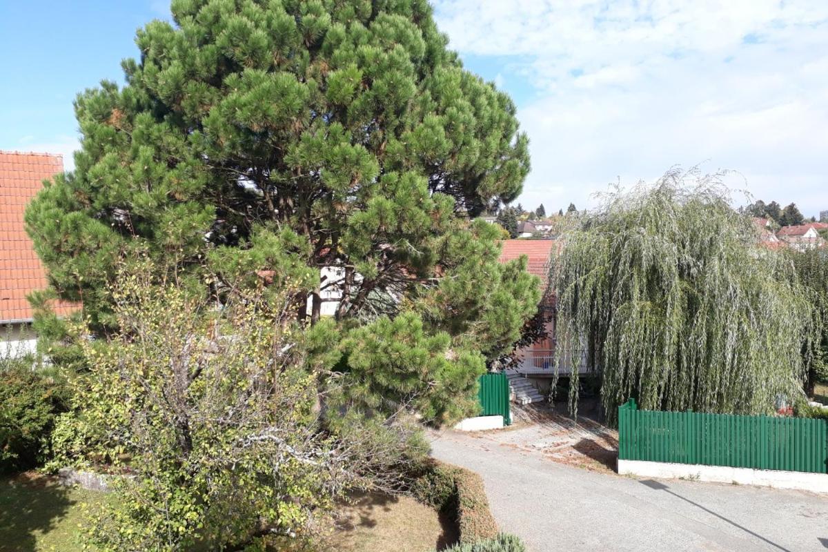 Appartement Independant A Proximite De Belfort Essert Екстер'єр фото